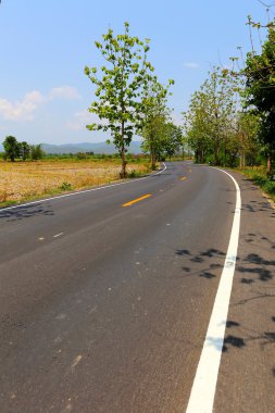 yol üzerinde beyaz çizgi