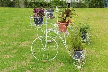 güzel bahar çiçeği