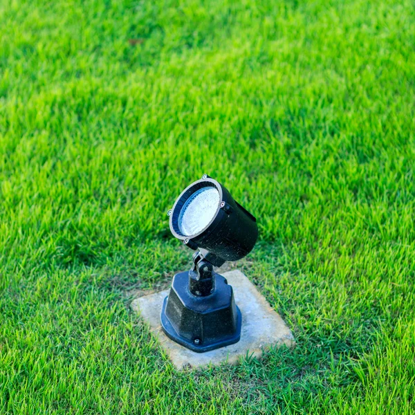 Light on green grass in garden — Stock Photo, Image