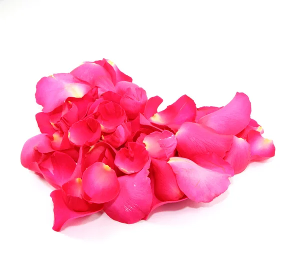 Rose petals heart — Stock Photo, Image