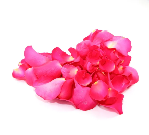 Rose petals heart — Stock Photo, Image