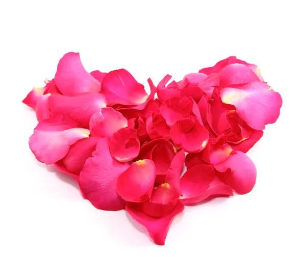 Rose petals heart — Stock Photo, Image