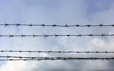 dikenli tel için korumak ana sayfa