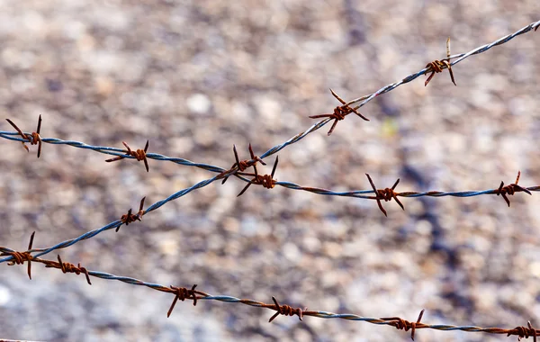 Barbed wire in the war — Stock Photo, Image