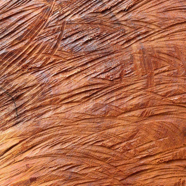 木材表面のログ テクスチャ背景 — ストック写真