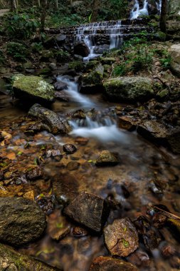 Tayland orman şelale