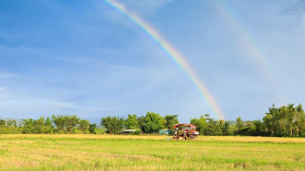 Rijst maaimachine werkt op het veld met de regenboog hemelachtergrond — Stockfoto