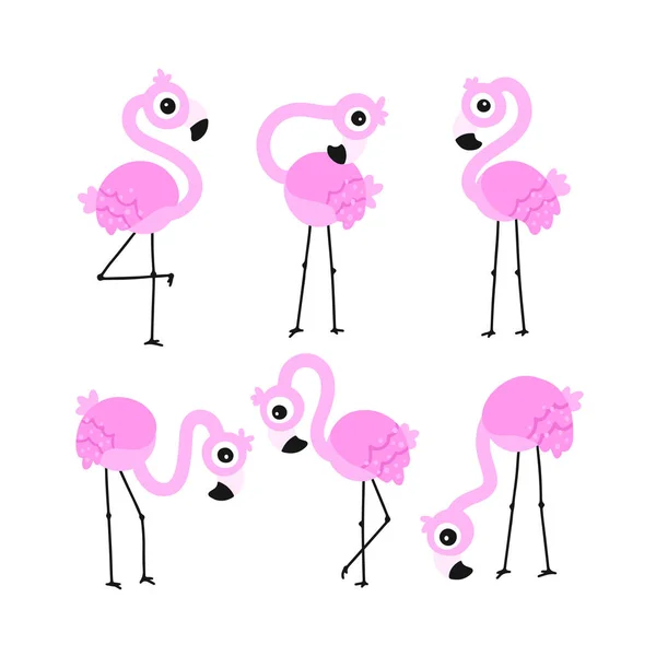 Zestaw Flamingowy Letni Wektor Tropikalny Cute Różowy Ptaków Znaków Różnych — Wektor stockowy