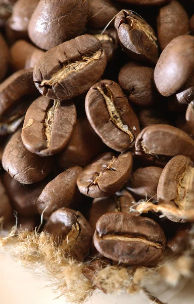 Kaffeebohnen — Stockfoto