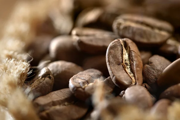 Kaffeebohnen — Stockfoto