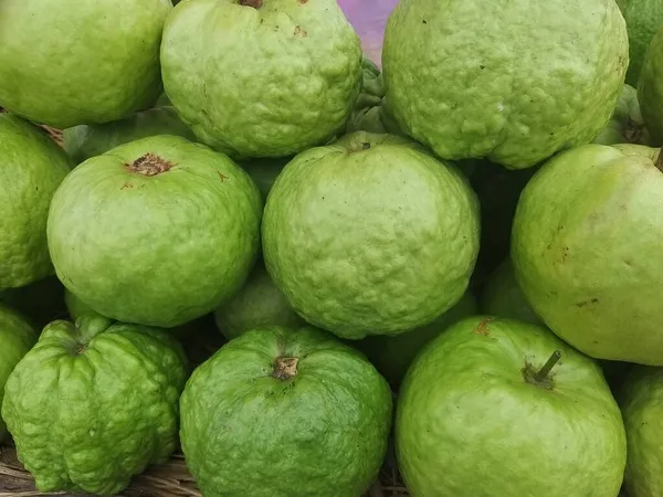 Eine Grüne Und Nahrhafte Indische Guave — Stockfoto