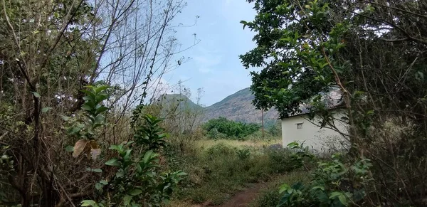 Campo Indiano Durante Inverno — Fotografia de Stock