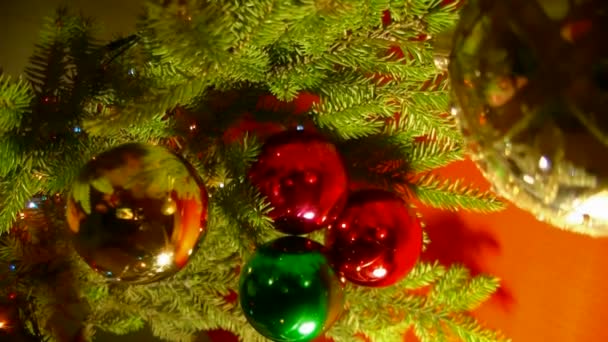 Christmas branch — Stock Video