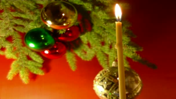 Noel dalı — Stok video