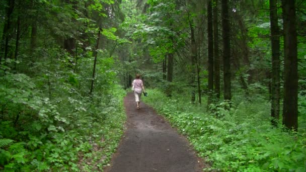 Caminhe na floresta — Vídeo de Stock
