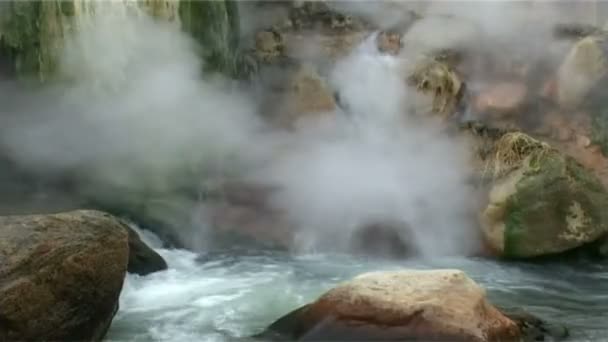 Geyser costieri — Video Stock