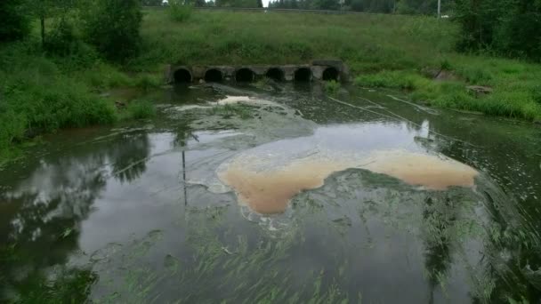 污水排入河 — 图库视频影像