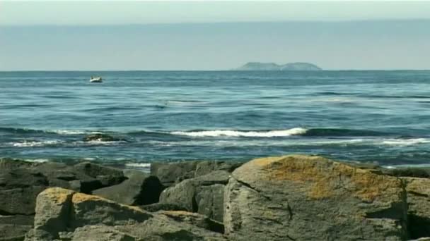 Plage de l'océan — Video