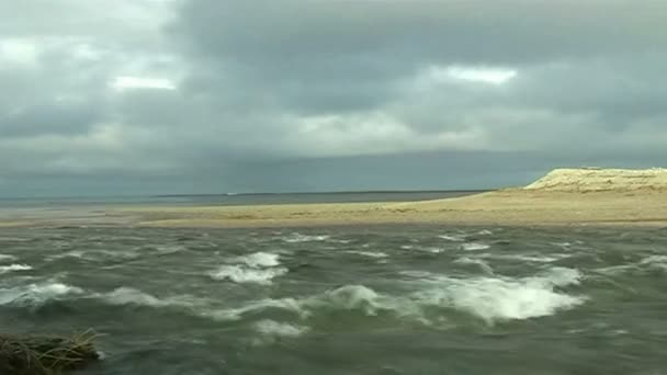 河流和海洋的汇合 — 图库视频影像