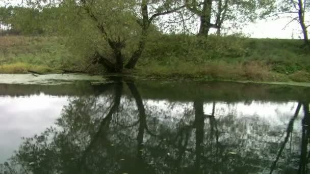 Reflection in the water — Stock Video