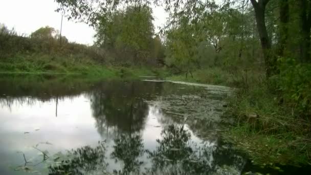 Осень на реке — стоковое видео