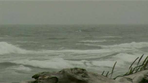 在太平洋的浪 — 图库视频影像