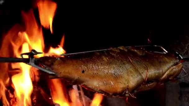 Fisch gebürstet — Stockvideo