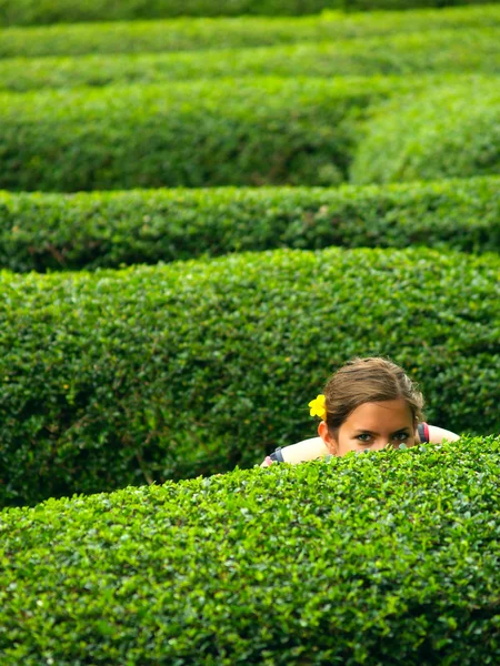 A girl in a maze — Stock Photo, Image