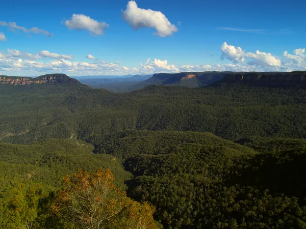 The blue mountains — Stock Photo, Image