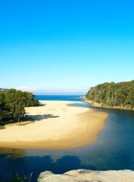 A tropical beach — Stock Photo, Image