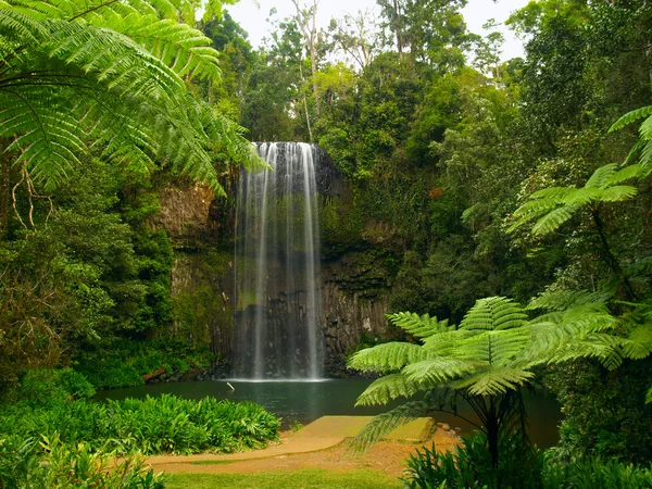 De millaa millaa falls — Stockfoto