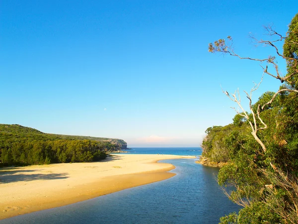Uma praia tropical perto de Sydney — Fotografia de Stock