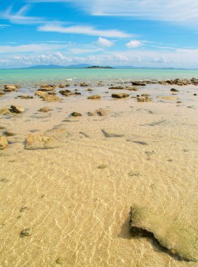 Paradise beach, Avustralya