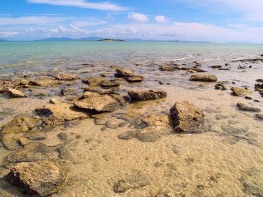Paradise beach, Avustralya