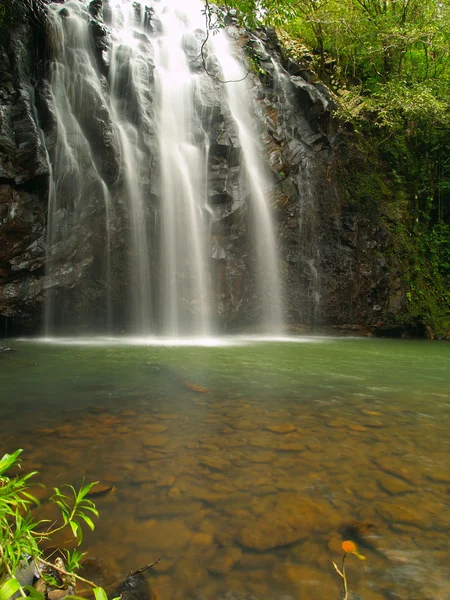 Ellinjaa vattenfall, Australien — Stockfoto