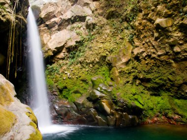 Waterfall at the Rincón de la Vieja National Park, Costa Rica