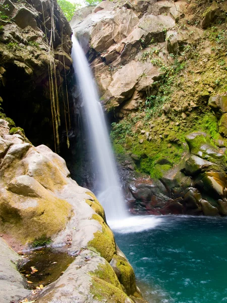 Waterfall at the Rincón de la Vieja National Park, Costa Rica — Stockfoto