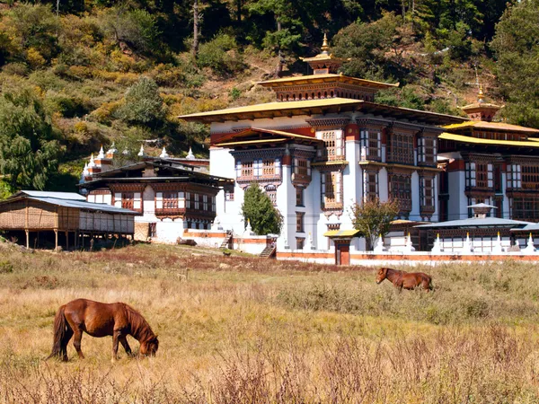 Chůze koně nedaleko kláštera konchogsum lhakhang v jakar, Bhútán — Stock fotografie