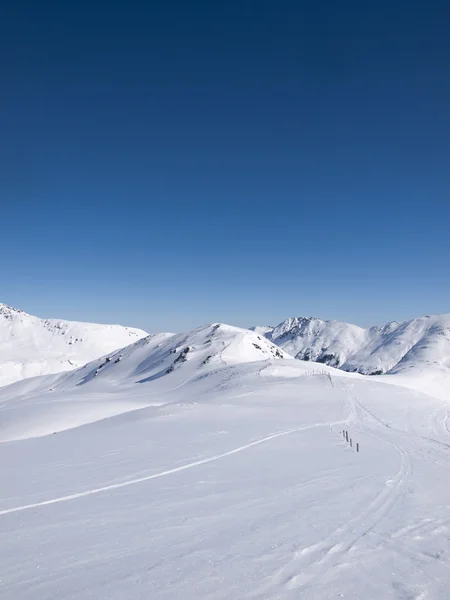 冬季徒步旅行和 langlauf 在阿尔卑斯山的踪迹 — 图库照片