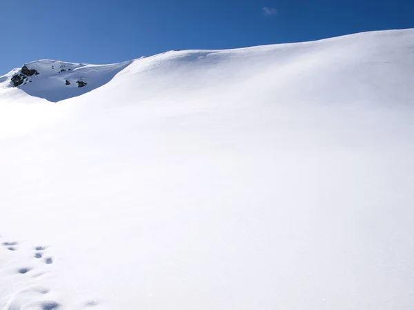 Fondo paisaje invierno —  Fotos de Stock