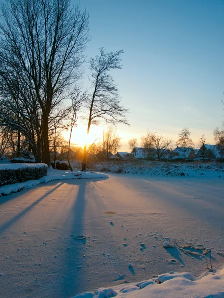 Sun shining through the trees in a winter wonderland — Stock Photo, Image