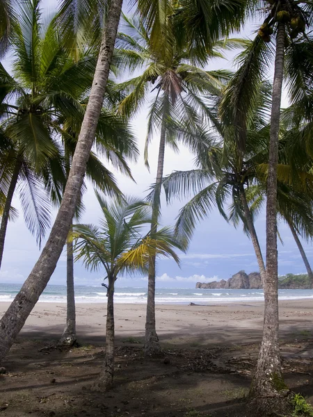 Piękne bezludnej tropikalnej plaży w pobliżu Samary w Kostaryce — Zdjęcie stockowe