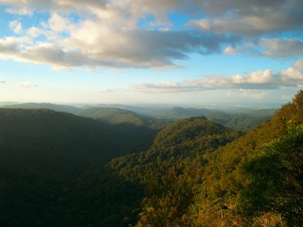 Springbrookin kansallispuisto, Queensland, Australia — kuvapankkivalokuva