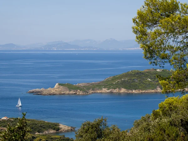 Akdeniz'de Fransız port-cros adasından göster