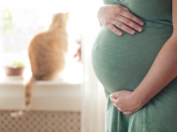 Беременная молодая женщина расширяет семью — стоковое фото