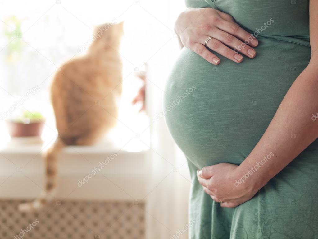 Pregnant young woman expanding the family