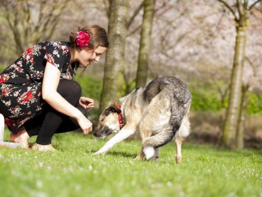 güzel kız köpeğini yürüyüşe bahar sevişme.