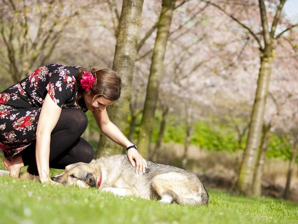 Beautiful girl petting her dog during a walk in the spring — Stock Photo, Image