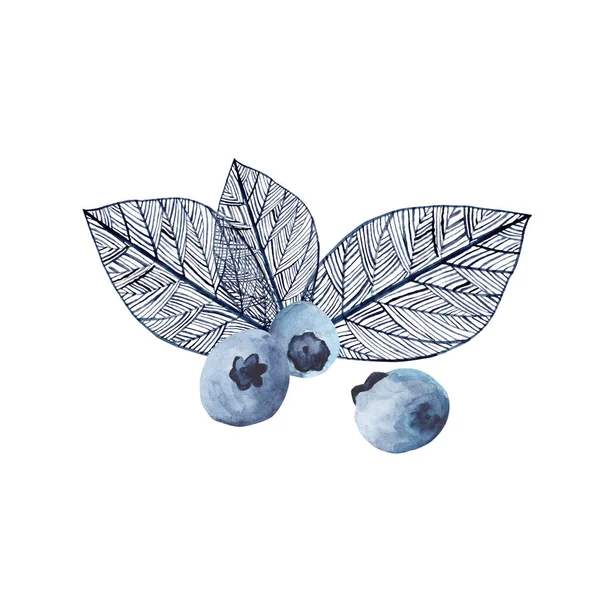Watercolor Illustration Wild Blueberry Decorative Leaves White Isolated Background Handful ストック画像