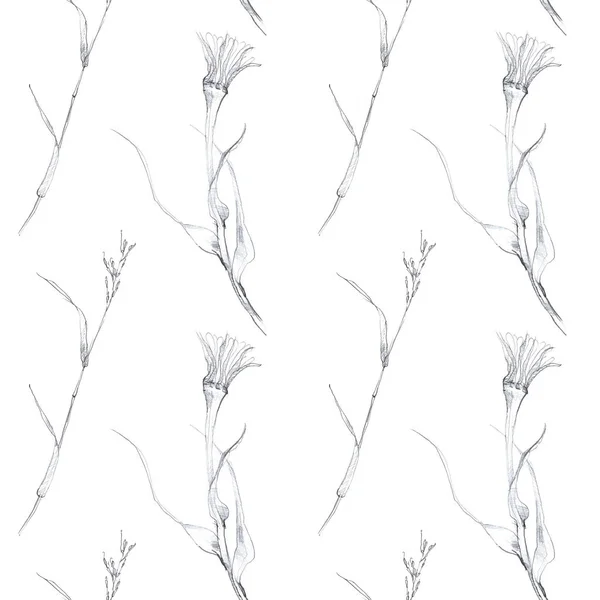 鉛筆の植物スケッチ 隔離された白い背景の花のシームレスなパターン 布や紙に印刷するための植物の図面 ストック写真